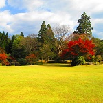 秋の庭園